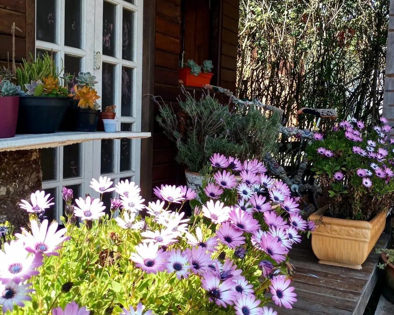 Pousada Confraria Da Terra Campos do Jordao Inn